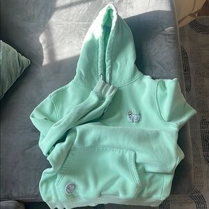 Mint Green Hoodie with Embroidered Design